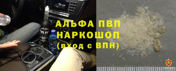 PSILOCYBIN Осташков