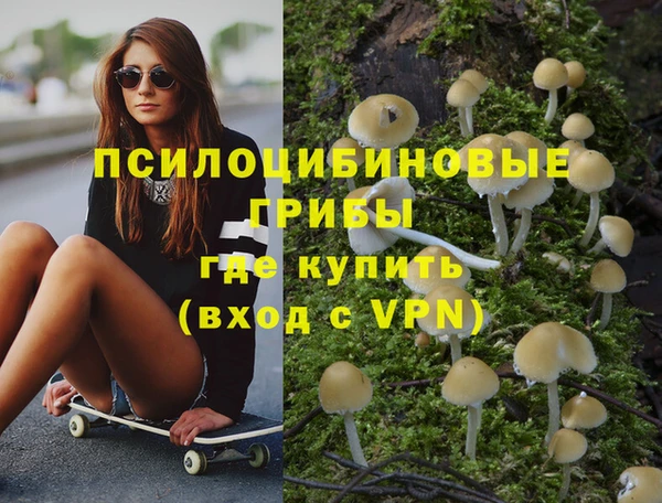не бодяженный Нязепетровск