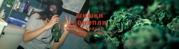 ГАЛЛЮЦИНОГЕННЫЕ ГРИБЫ Остров