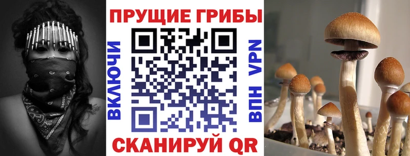 наркотики  Баксан  Псилоцибиновые грибы мухоморы 