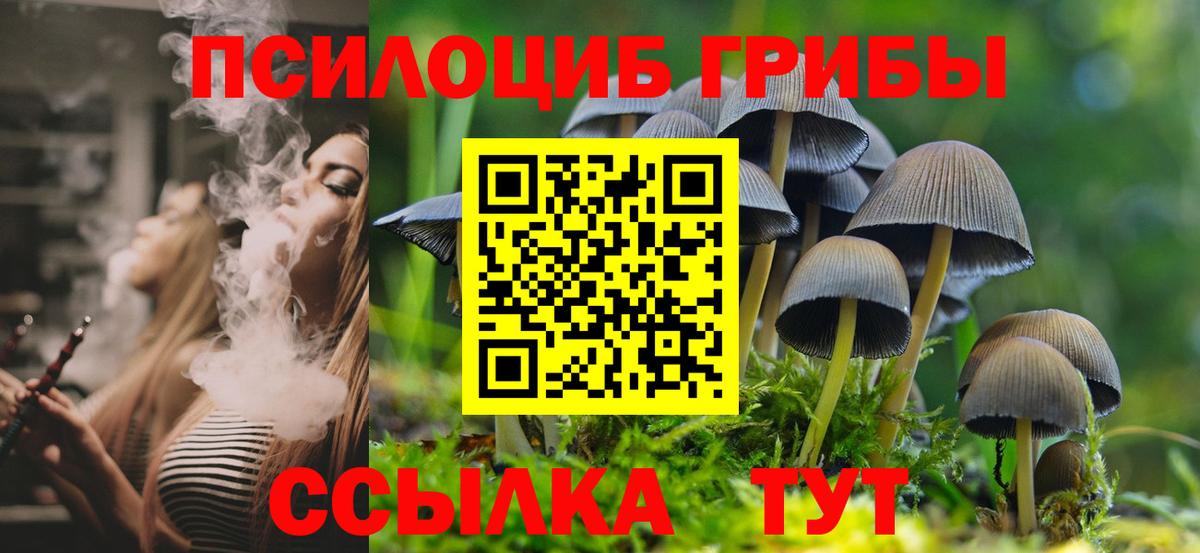 Галлюциногенные грибы Psilocybine cubensis Баксан